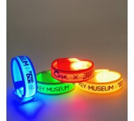 WOWB1135/ Custom LED Glowing wrist band